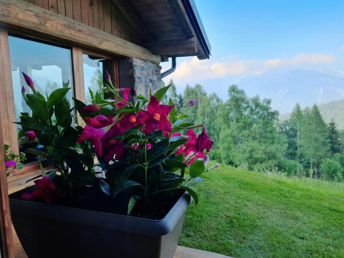 Chalet Chapeau Rar Castel Condino Экстерьер фото