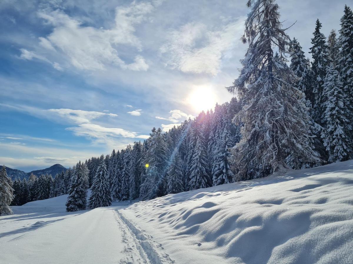 Chalet Chapeau Rar Castel Condino Экстерьер фото